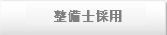 �斱���i��^�j�̗p