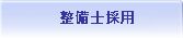 �斱���i��^�j�̗p
